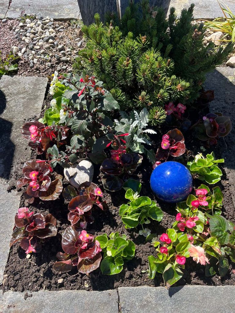 Grabbepflanzung Sommer wenig Wasser