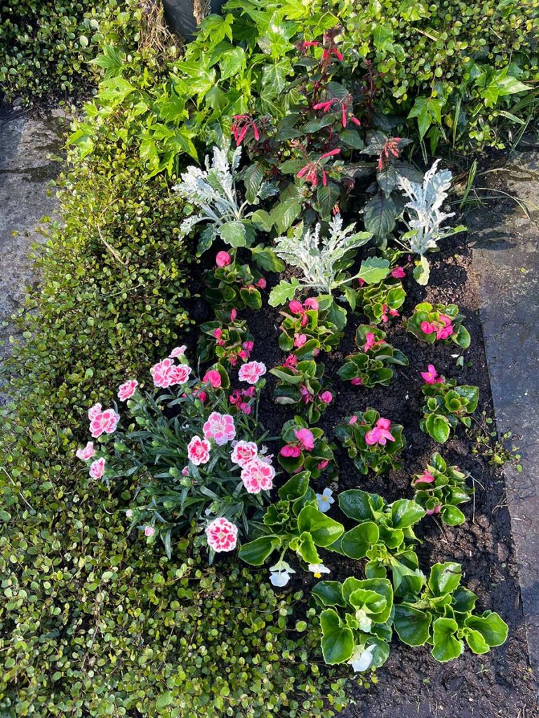 Ein weiteres Erdgram mit sommerlicher Grabbepflanzung