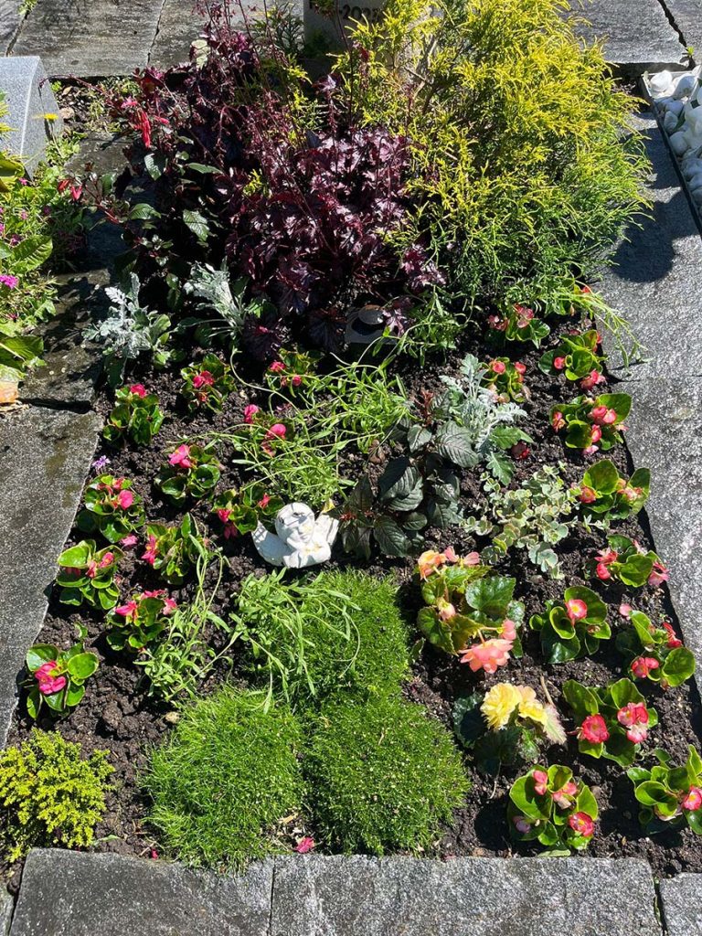 Pflegeleichte Grabbepflanzung mit wenig Wasserbedarf für den Sommer